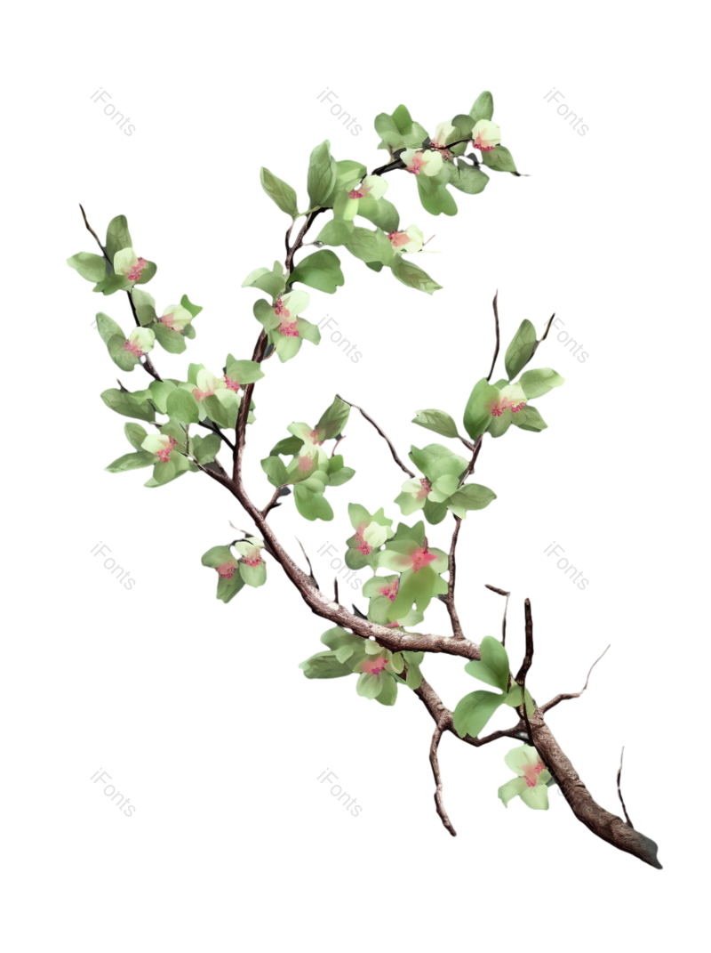 叶子图片,清新元素,插画PNG,花朵免抠素材